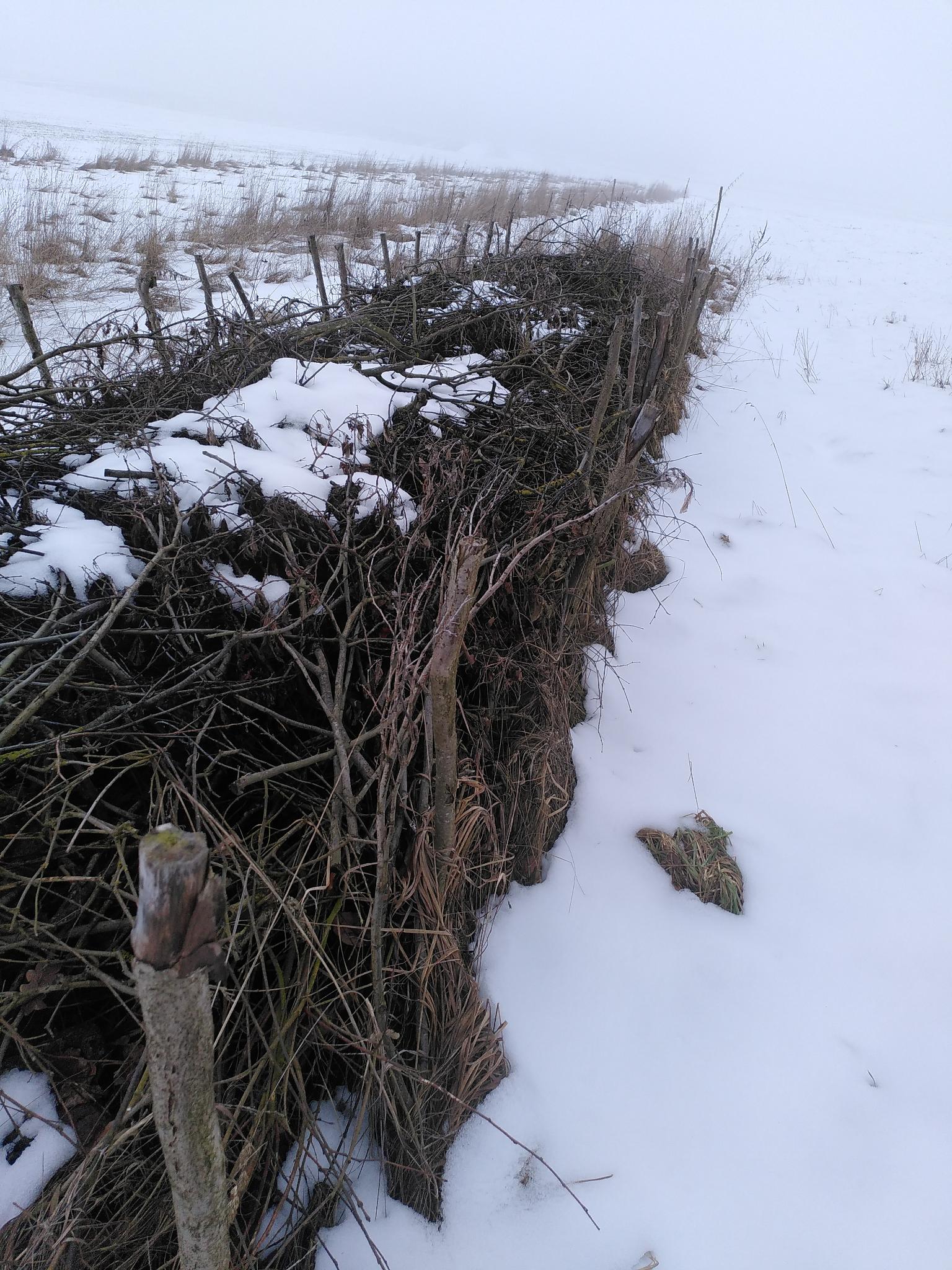 Die Benjeshecke wächst weiter…